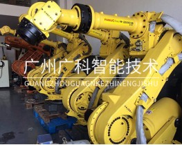 Fanuc robot maintenance type selection and replacement service